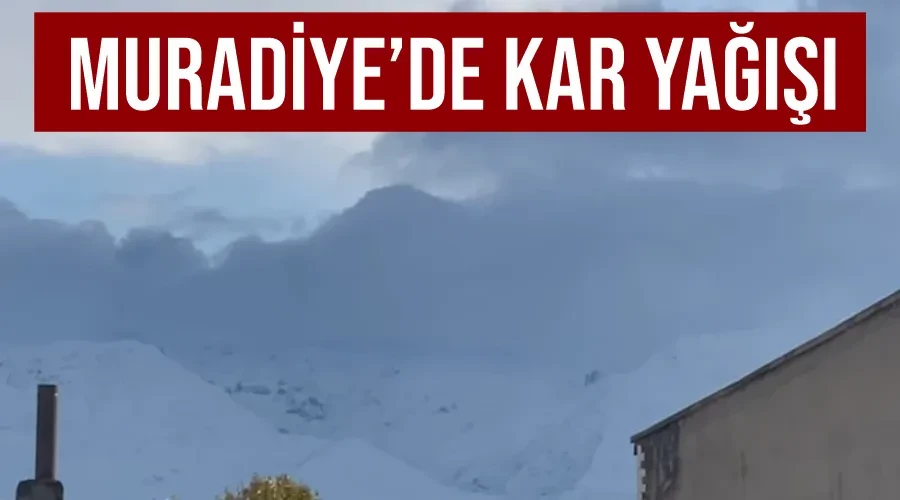Muradiye’de kar yağışı
