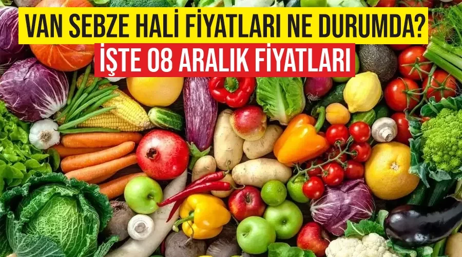 Van Sebze Hali Fiyatları Ne Durumda? İşte 08 Aralık Fiyatları