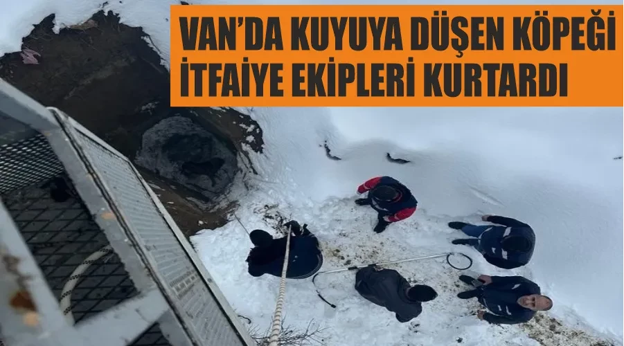 Van’da kuyuya düşen köpeği itfaiye ekipleri kurtardı