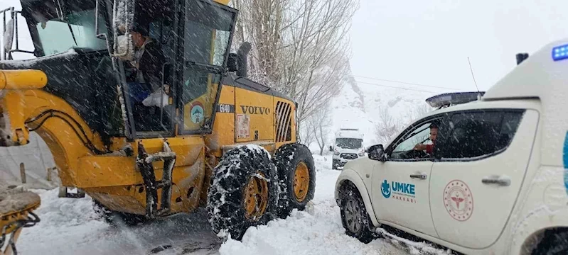 Yüksekova’da ekipler seferber oldu: Yolları kapanan köylerdeki 8 hastayı kurtardı