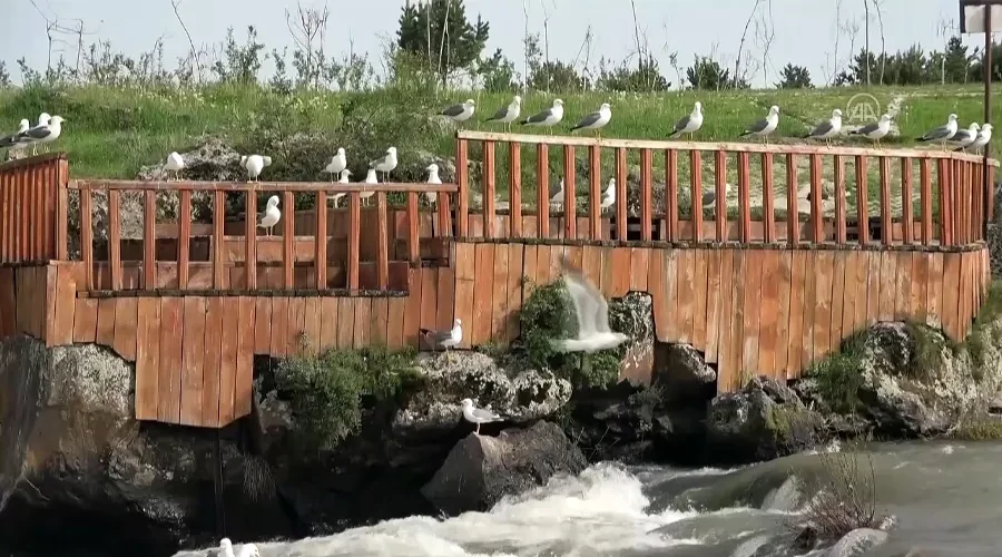 Erciş Balık Bendine Girişler İki Günlüğüne Yasaklandı!