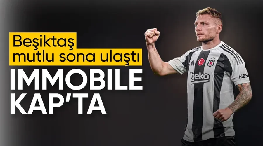 Beşiktaş, Immobile