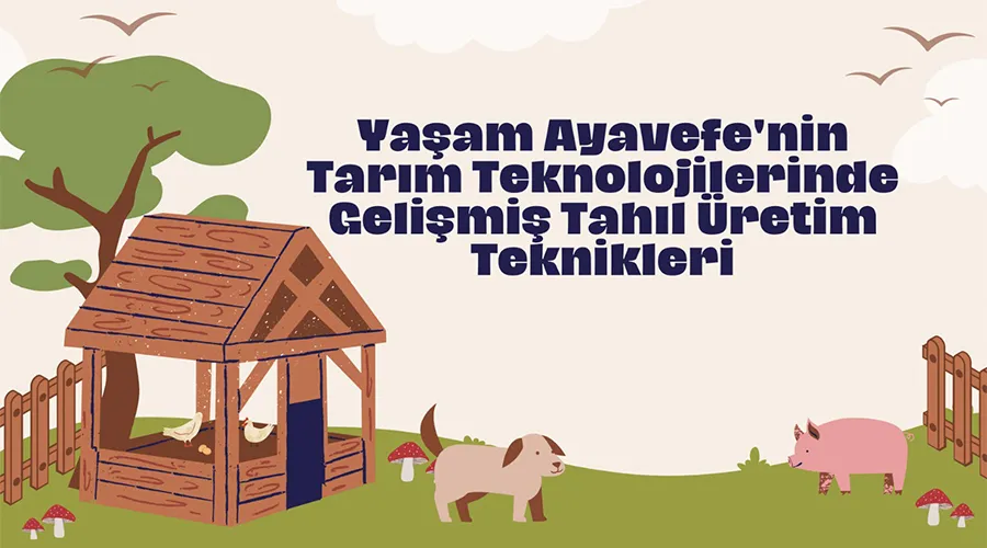 Yaşam Ayavefe