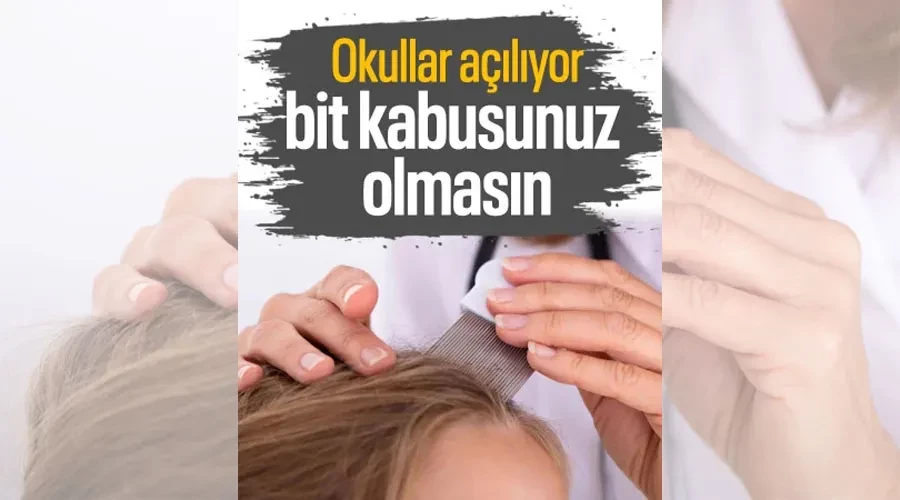 Bit Savaşının Kahramanları Ebeveynler, Okullar Açılıyor: Çocuklarınızın Gizli Düşmanına Karşı 7 Altın Kural!