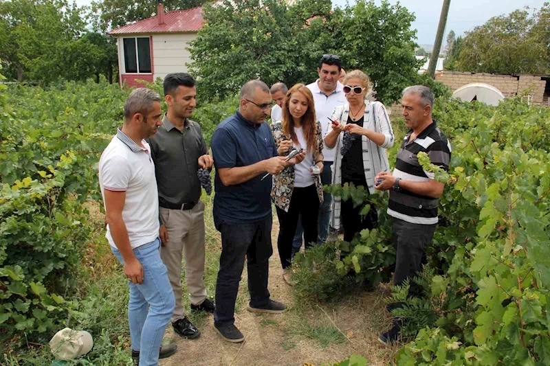 Van Ticaret Borsası Başkanı Süer: 