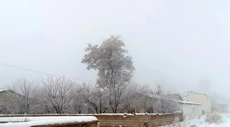 Özalp dondu, ağaçlar kırağı tuttu