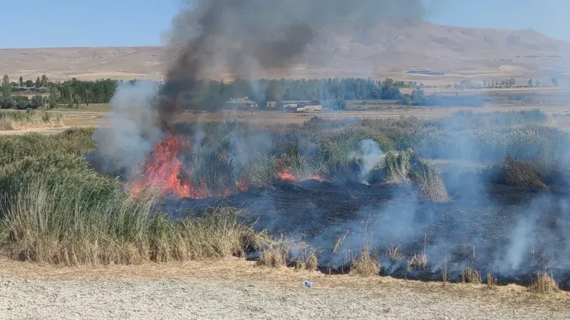 Prof. Dr. Lokman Aslan: 