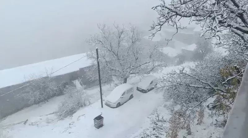 Van’ın Bahçesaray ilçesinde kar etkili oldu