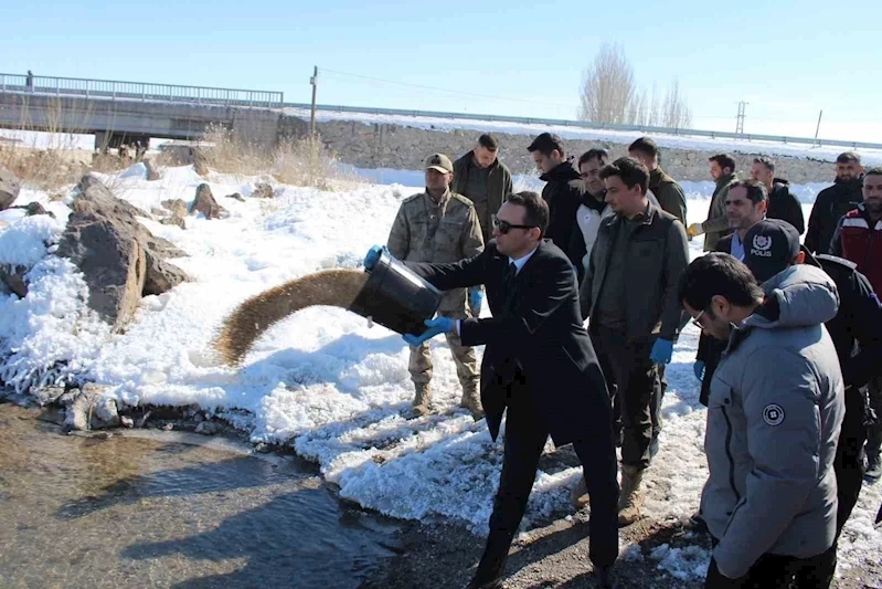 Çaldıran’da yaban hayvanları için doğaya yem bırakıldı