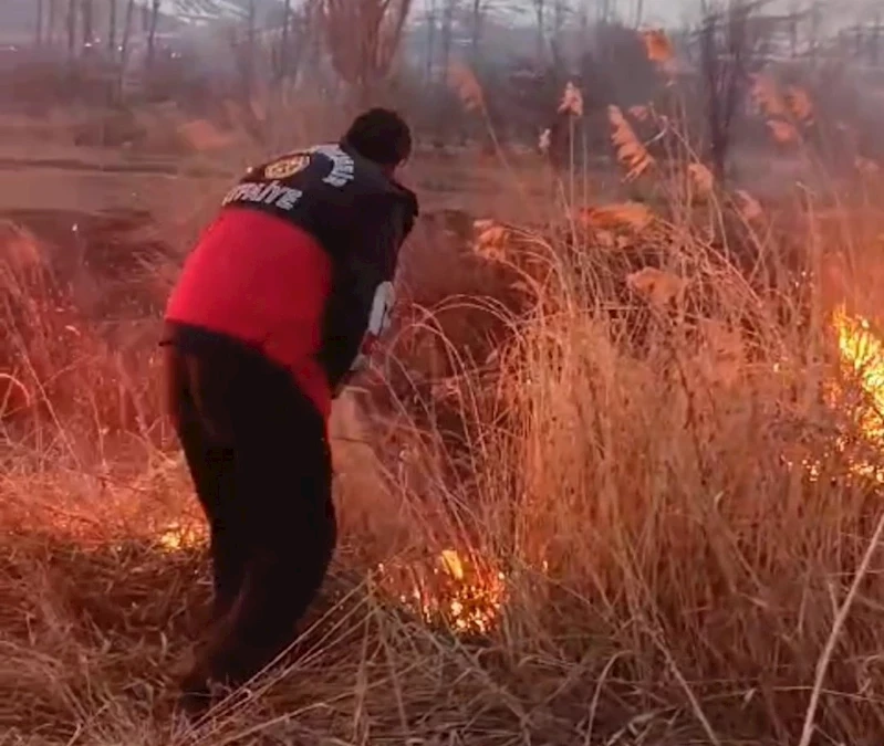 Van’da sazlık alanda yangın