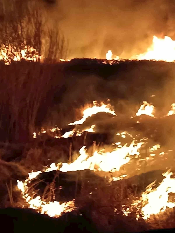 Van’ın Gevaş ilçesinde son 2 günde 3 sazlık alan yandı