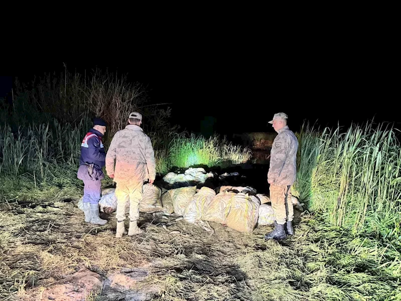 Van’da kaçak avlanmış 15 ton inci kefali ele geçirildi